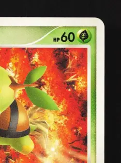 Turtwig 001/013 MP Giratina Half Deck Japanese Pokemon Card TCG - Image 5