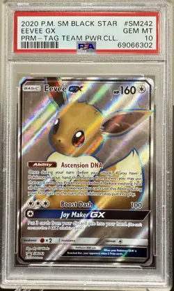 Eevee GX SM242 Sun & Moon 2020 Pokemon Black Star Promo PSA 10 GEM MINT - Image 1