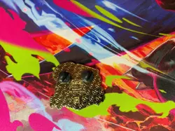 Pokemon TCG Ascended Heroes Deluxe Collection CHIKORITA ,TEPIG & TOTODILE PIN - Image 2