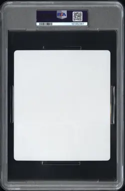 2005 POKEMON XD GALE OF DARKNESS PSA 10 - Image 2