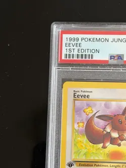 Pokemon TCG Eevee Jungle 1st Edition PSA 10 51/64 Regular English - Image 2