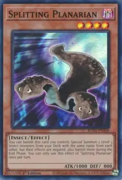 Yugioh! Splitting Planarian - ROTA-EN100 - Super Rare - 1st Edition Near Mint, E - Image 1