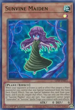 Yugioh! Sunvine Maiden - GFTP-EN015 - Ultra Rare - 1st Edition Near Mint, Englis - Image 1