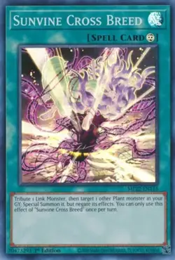 Yugioh! Sunvine Cross Breed - MP22-EN116 - Super Rare - 1st Edition Near Mint, E - Image 1