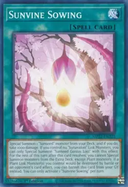 Yugioh! Sunvine Sowing - MP22-EN223 - Common - 1st Edition Near Mint, English - Image 1
