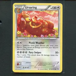 Pokemon TCG Ursaring RC16/RC25 Legendary Treasures Holo Common Card EN-MP 2013 - Image 1