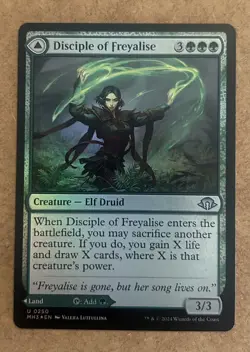 Foil Disciple of Freyalise Modern Horizons 3 -NM MTG - Image 1