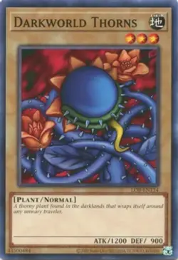 Yugioh! Darkworld Thorns - LOB-EN114 - Common - Unlimited 25th Anniversary Editi - Image 1