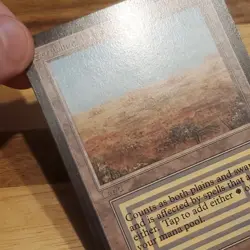1x Scrubland, Collector's Edition - Not Tournament Legal, Magic MTG NM/LP Scans - Image 4