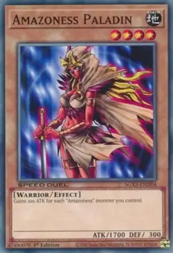 Yugioh! Amazoness Paladin - SGX3-END04 - Common - 1st Edition Near Mint, English - Image 1