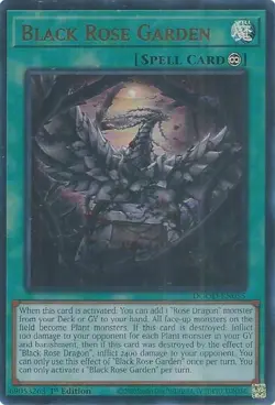 Black Rose Garden DOOD-EN055 1st Edition Ultra Rare NM Near Mint Yugioh - Image 1