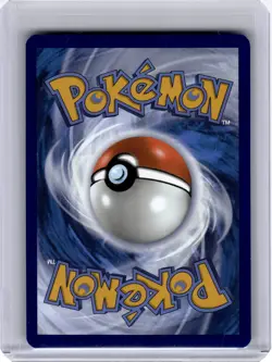 2025 Pokemon—Pikachu (Illu. Contest' 24) 214 S&V Promo Cards—Black Star Promo NF - Image 2