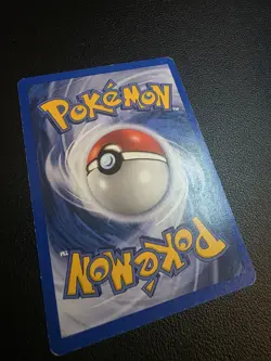 Eevee 54/144 Skyridge Common Pokemon TCG Card English - Image 4