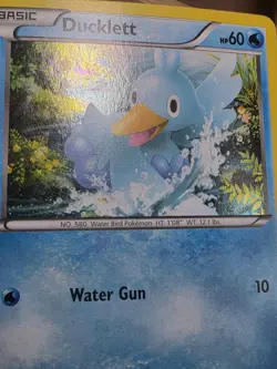 HP Pokemon TCG Black and White Promos Ducklett - BW17 Holo - Image 5