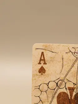 Portgas D. Ace One Piece Playing Cards Japanese anime spade Ace M110 - Image 5