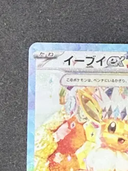 Eevee EX 224/187 Sv8a: Terastal Fest EX Holo (Japanese) Raw Pokemon Card - Image 5