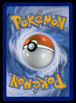 Pokemon League & Championship Cards (Arena Cup) Combusken #13 STAFF - Image 2