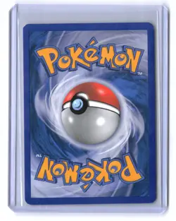 Pachirisu Rare Holo Black Star Promo Card DP04 Pokemon TCG Vintage NM - Image 2