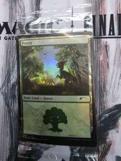 [1x] Forest (575) - Foil Near Mint, English Secret Lair MTG Magic - Image 1