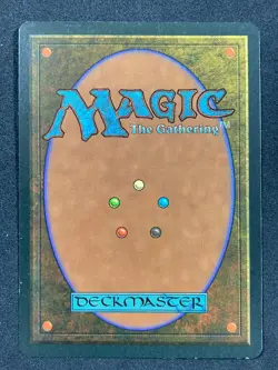 Adarkar Wastes - MTG - Ice Age - Magic: The Gathering - MP/LP - Image 2