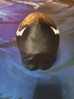 VENOM MTG Deck Box! 100 Cards Commander - Image 3