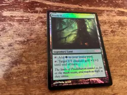 Mtg Pendelhaven FNM - Image 1