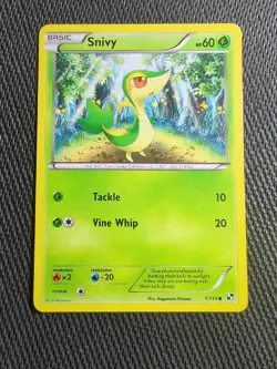 Pokemon TCG Snivy Black and White 1 Regular Common - Image 1