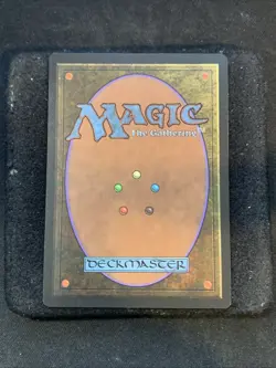 1x Scars of the Veteran - Alliances - Light Play - Image 2