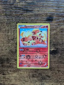 Pokemon NM-M Growlithe RC4/RC25 Radiant Collection 2013 Reverse Holo - Image 1
