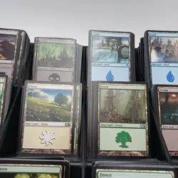 Magic the Gathering BASIC Land Lot Over 15 Lbs and 3700 Cards Various Sets Read - Image 3