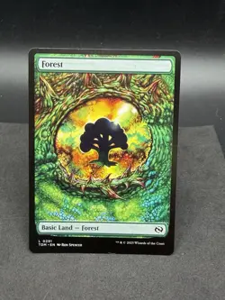 Forest (0291) Tarkir: Dragonstorm Regular - Image 3