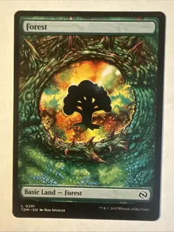 Forest (0291) Tarkir: Dragonstorm Regular - Image 1