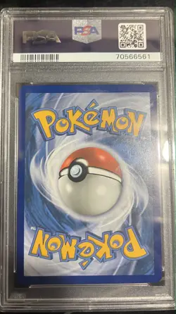 PSA 10 GEM MINT Pokemon Pikachu & Zekrom GX Black Star Promo SM248 - Image 2