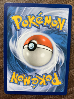 REVERSE HOLO Teddiursa 126/203 - 2021 Pokemon Evolving Skies Common Card NM - Image 2