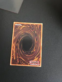 Elzette Of The White Forest INFO-EN014 Yugioh 1st Edition - Secret Rare - Image 2