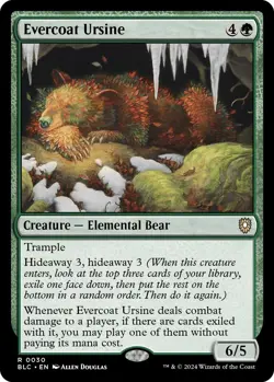 Evercoat Ursine- (NM)-**-EN-[BLC - 30] - Image 1
