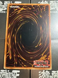 Yugioh Red-Eyes Black Dragon SDJ-001 Unlimited Edition Holo Rare Yu-Gi-Oh! 1996 - Image 3