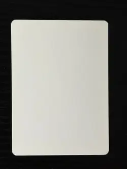 Magic MTG Italian Revised Ivory Cup Artist Proof Near Mint - Only 50 Exist! - Image 2