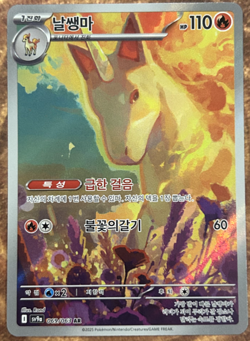 Pokemon Korean Rapidash Heat Wave Arena 069/063 New in Sleeve and Top Loader - Image 1
