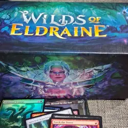 500+Magic: The Gathering Wilds of Eldraine Mixed Creature, Enchantment & Artifac - Image 1