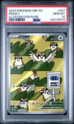2023 POKEMON OBF EN-OBSIDIAN FLAMES #207 PIDGEY ILLUSTRATION RARE - PSA 10 - Image 3