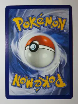 Salamence EX 114 Journey Together Pokemon card - Image 2