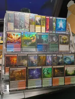 MTG Land Collection Lot - Image 1