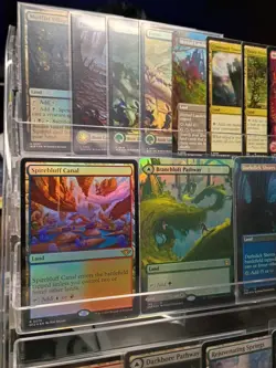MTG Land Collection Lot - Image 2