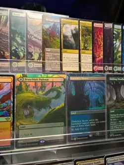 MTG Land Collection Lot - Image 3