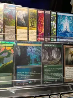 MTG Land Collection Lot - Image 4