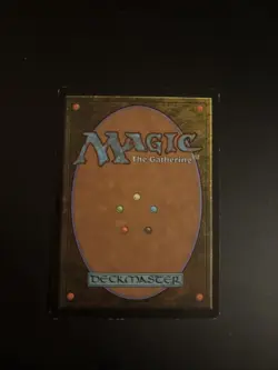 Magic The Gathering - Hickory Woodlot Mercadian Masques Regular - Image 2