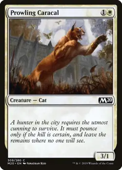 MTG Prowling Caracal ** Core Set 2020 ** English - Image 1
