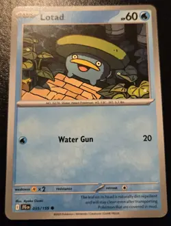 Lotad 035/159 Common Scarlet & Violet: Journey Together Pokemon TCG - Image 1
