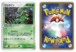 Sceptile 003/055 Expansion Pack Unlimited Holo 2003 Japanese Pokemon TCG HP/DMG - Image 1